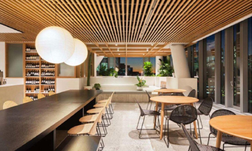 earcons wpc ceiling panel.